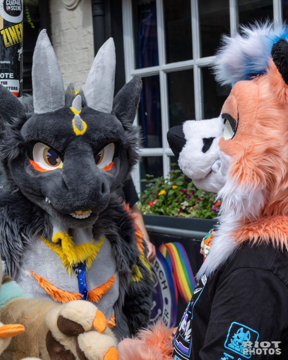 2025-08-09 MancFurs-202508-035.jpg