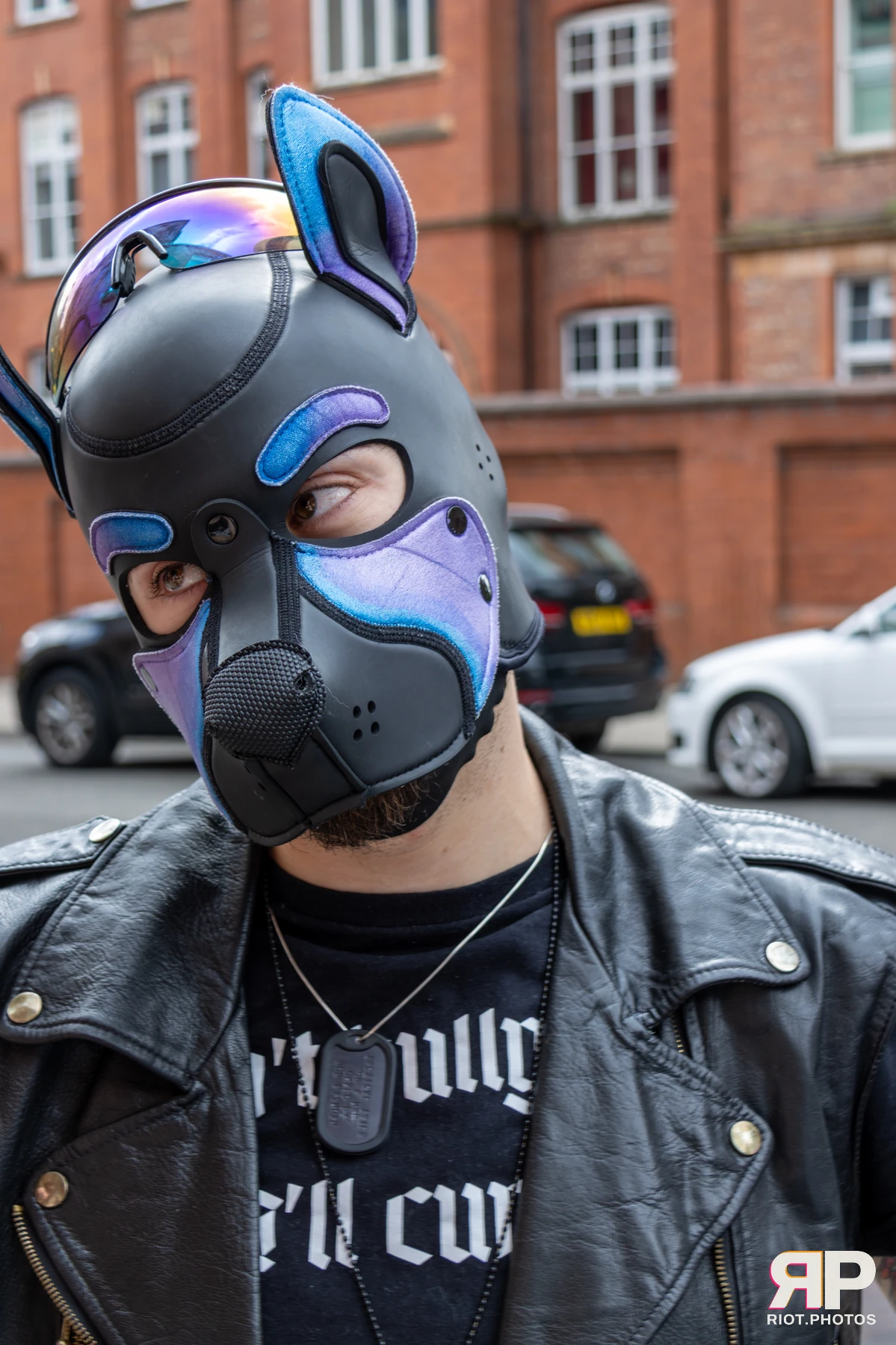 Pup Bismuth — furry & pup photography by Fluffy Riot — photo 50