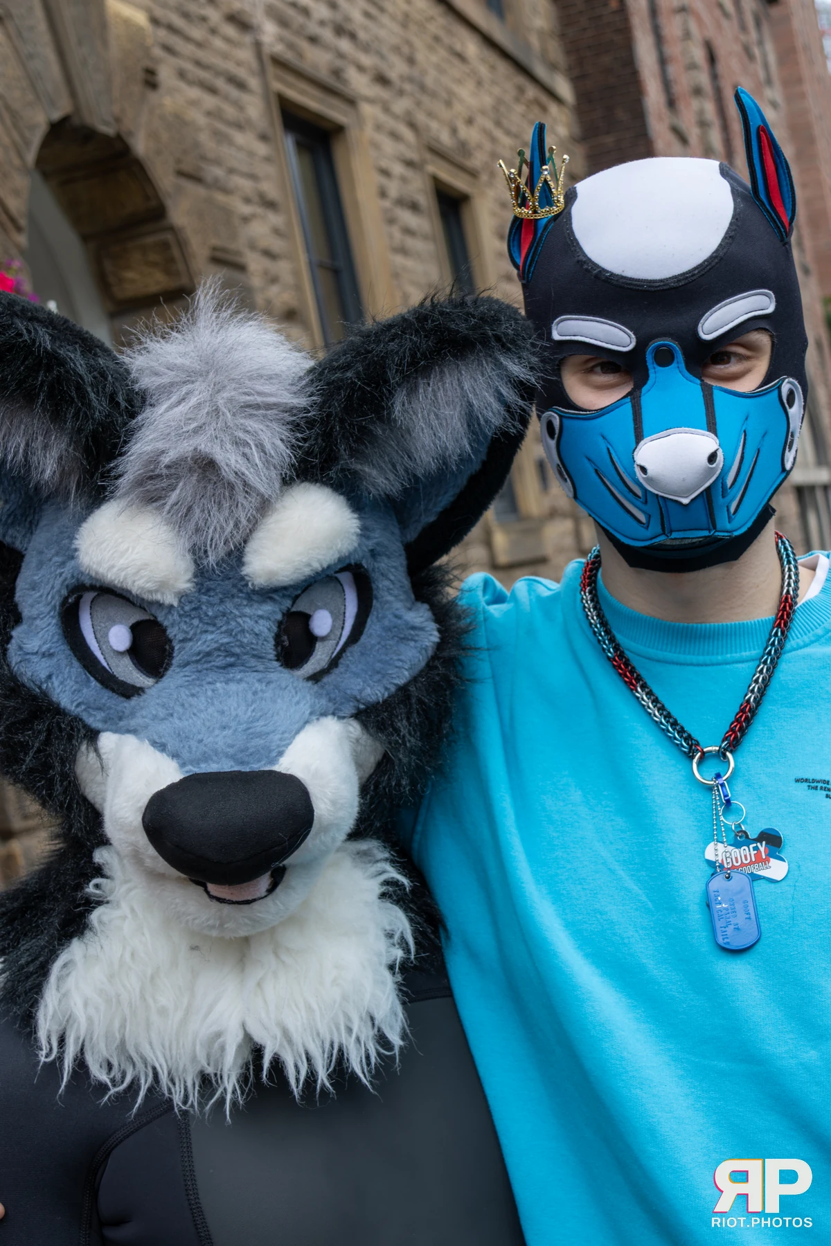 Pup Nathan — furry & pup photography by Fluffy Riot — photo 65