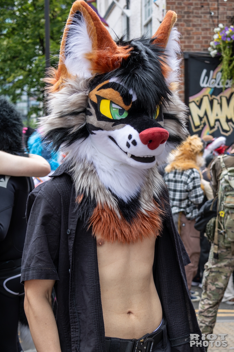 2025-08-09 MancFurs-202508-047.jpg