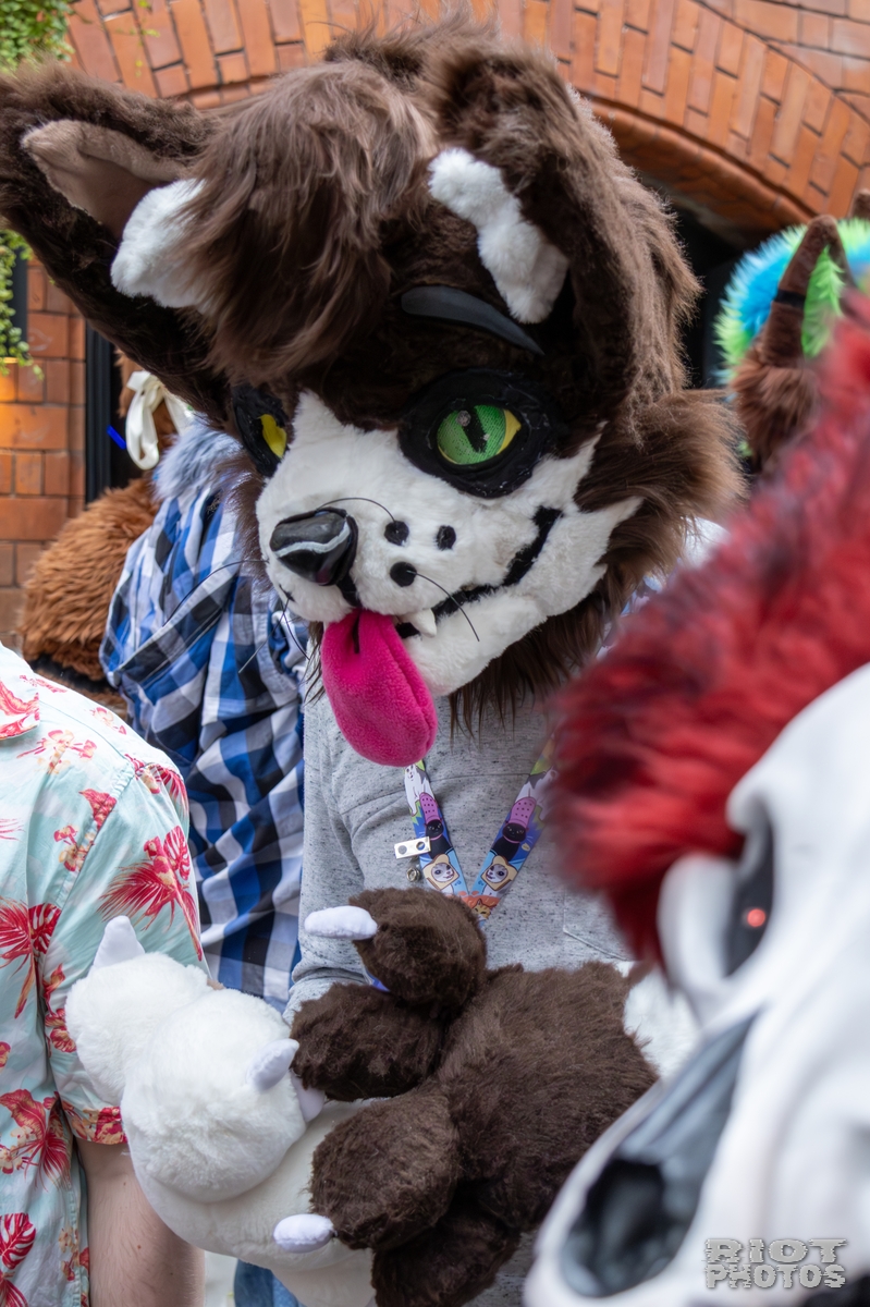 2025-08-09 MancFurs-202508-048.jpg