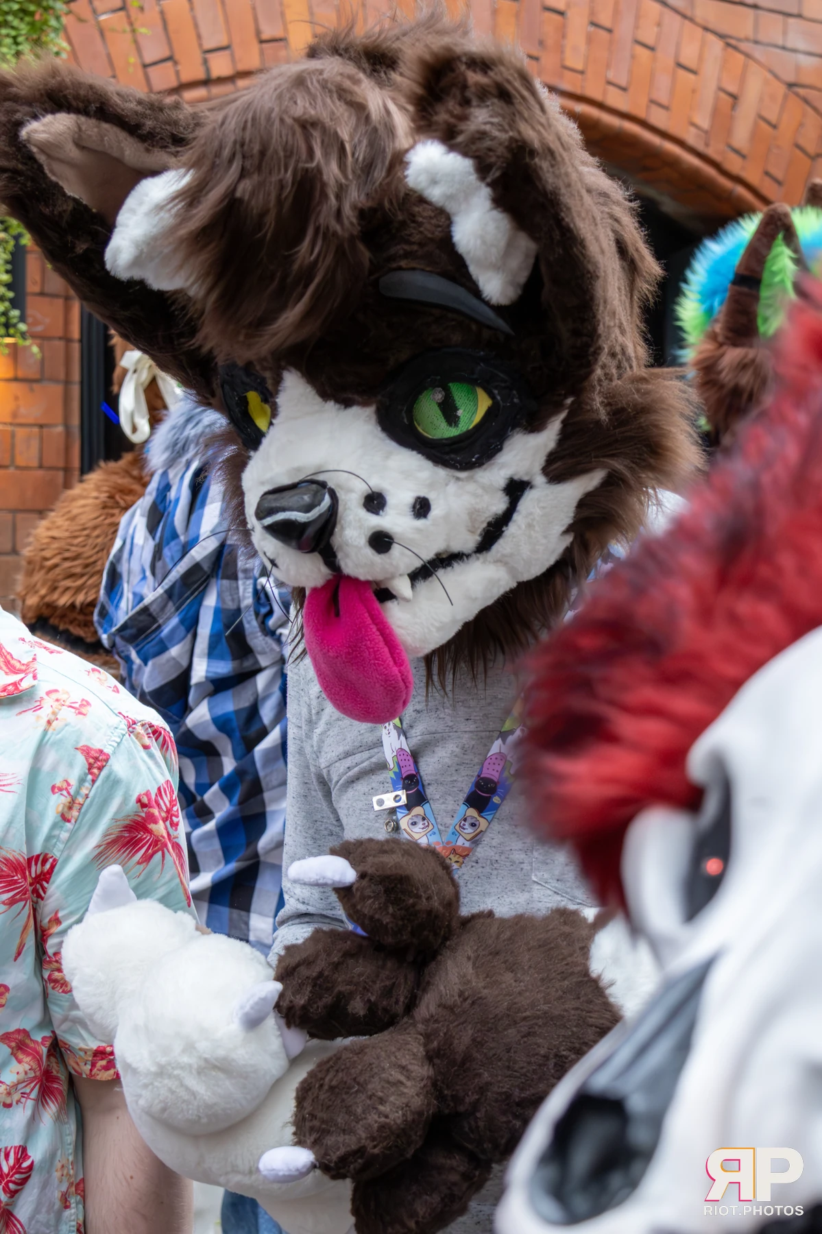 MancFurs - August, 2025 — 09 Aug 2025, Fluffy Riot photography — photo 48