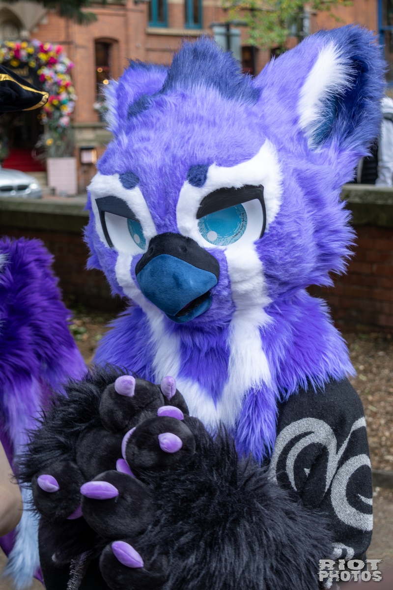 2025-08-09 MancFurs-202508-049.jpg