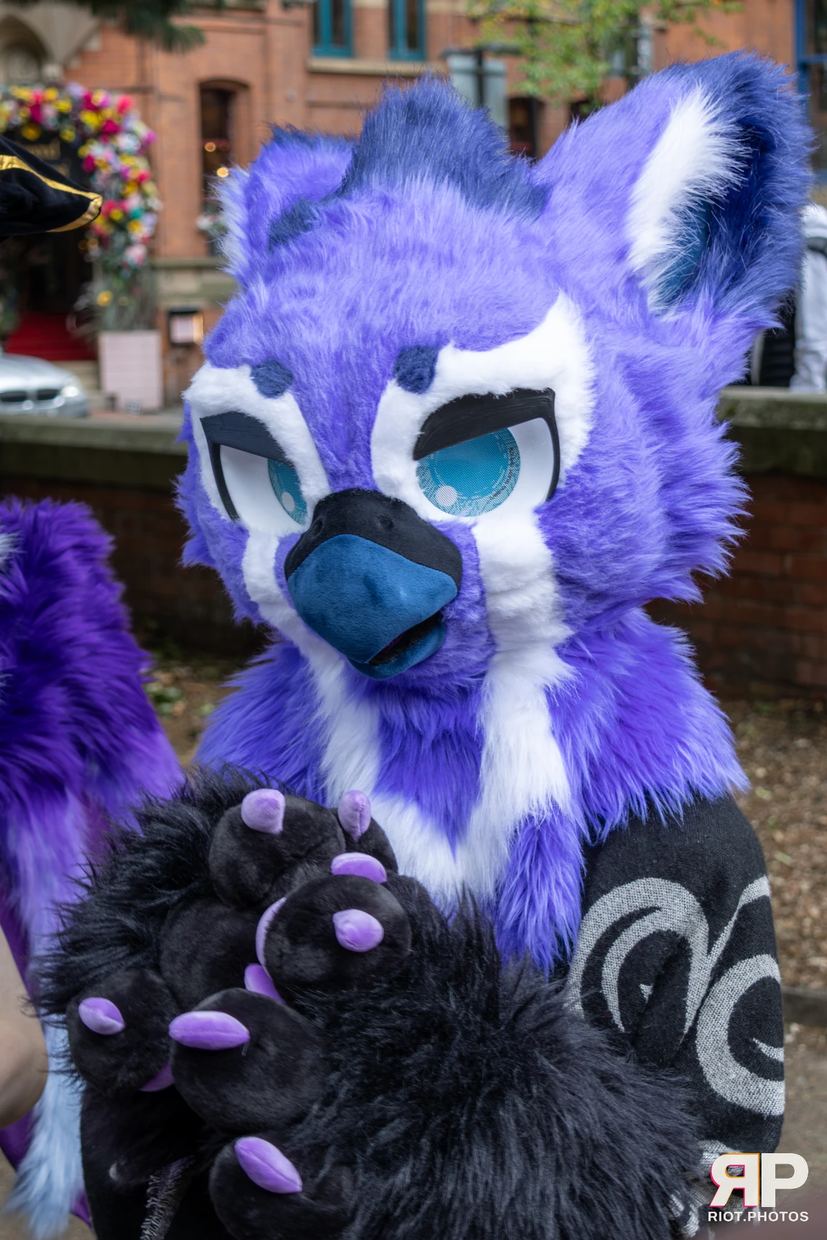 MancFurs - August, 2025 — 09 Aug 2025, Fluffy Riot photography — photo 49