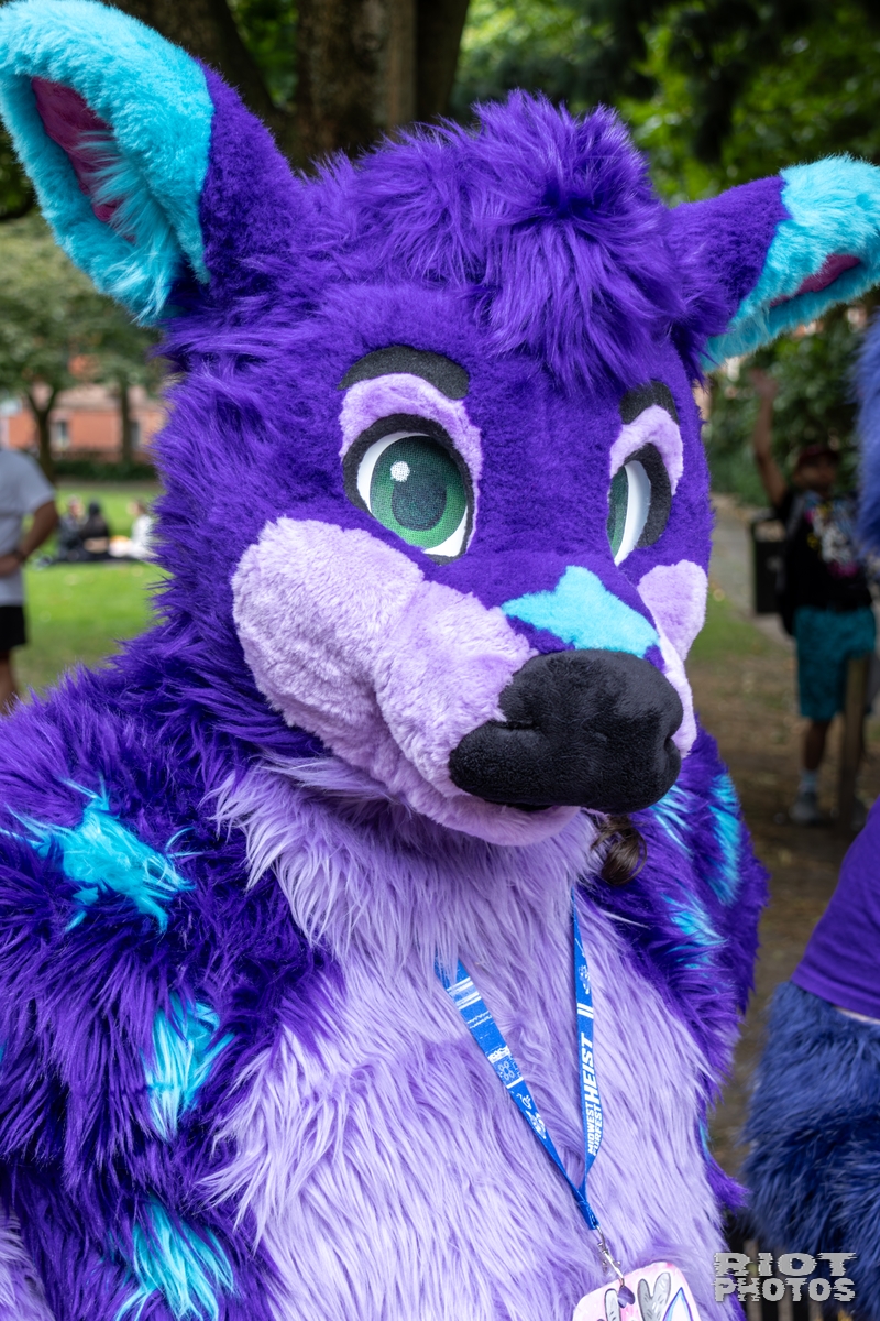 2025-08-09 MancFurs-202508-051.jpg