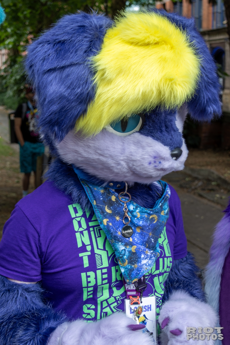 2025-08-09 MancFurs-202508-052.jpg