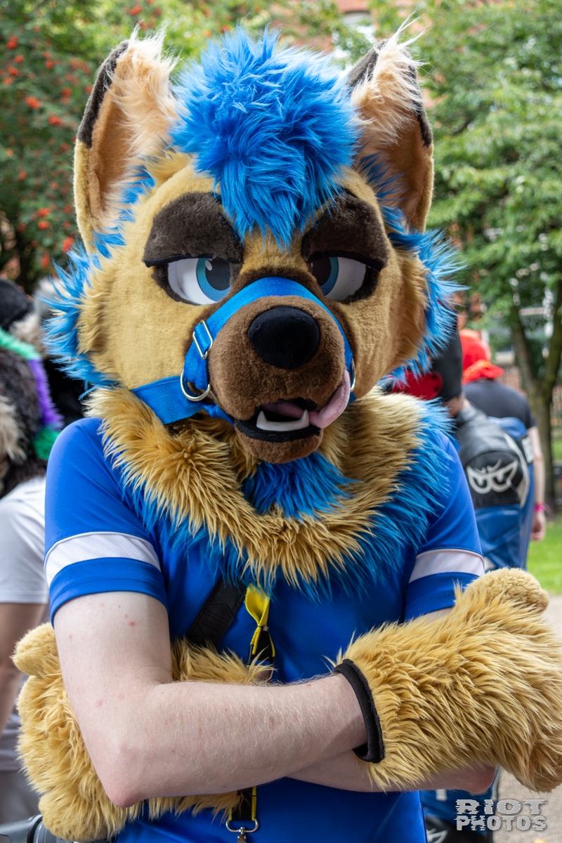 2025-08-09 MancFurs-202508-053.jpg