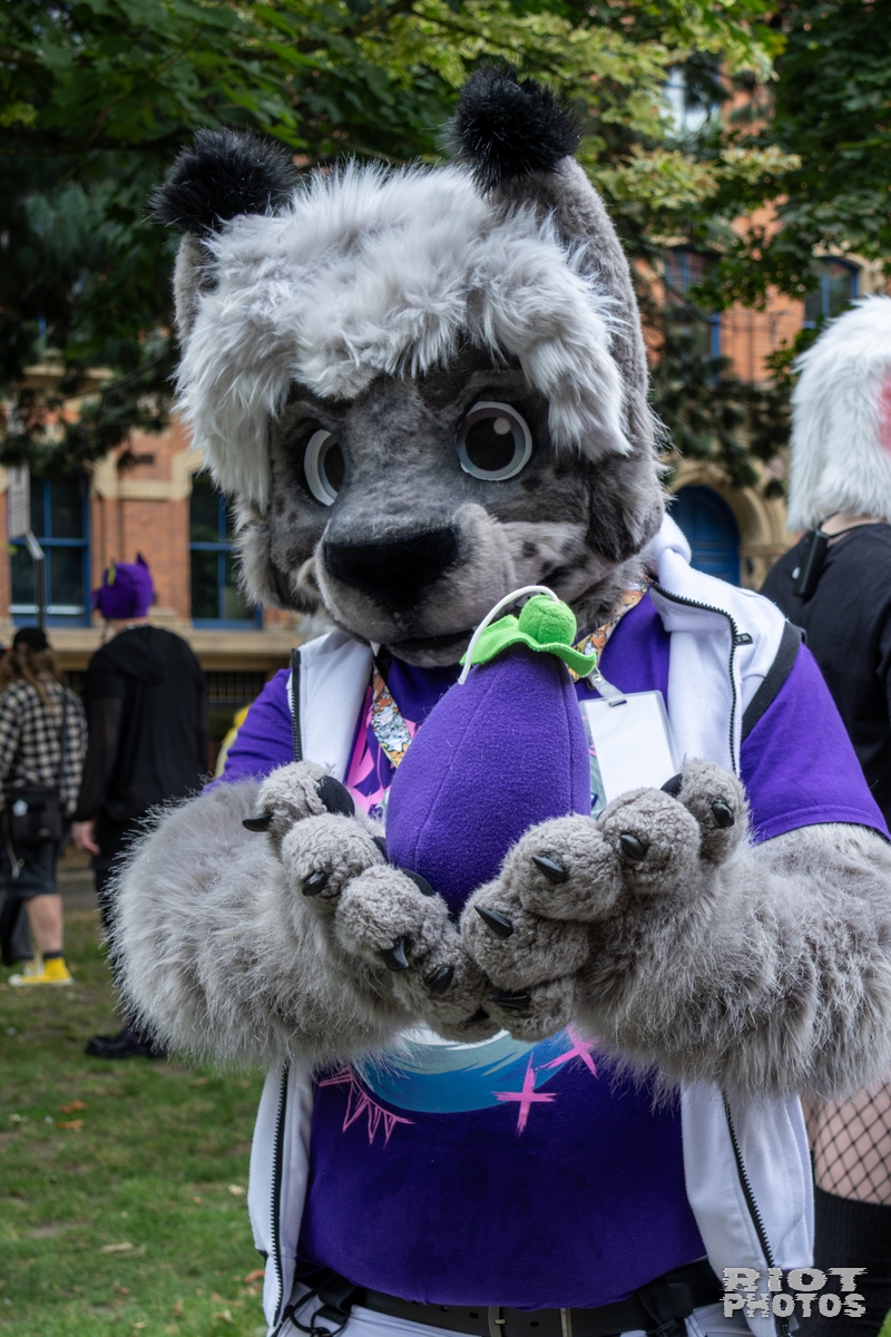 2025-08-09 MancFurs-202508-054.jpg