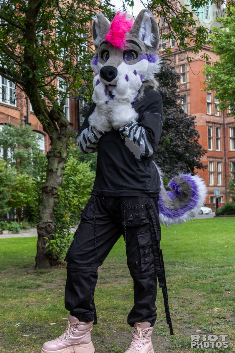 2025-08-09 MancFurs-202508-057.jpg