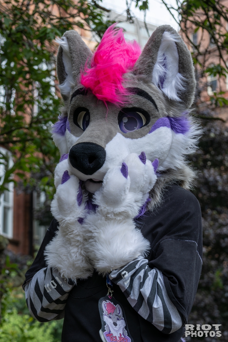 2025-08-09 MancFurs-202508-058.jpg
