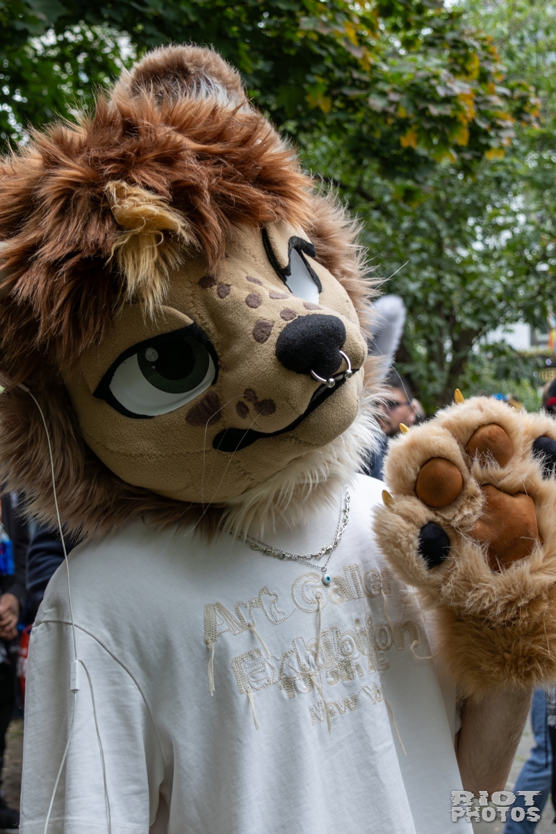2025-08-09 MancFurs-202508-060.jpg