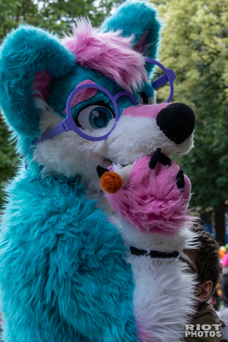 2025-08-09 MancFurs-202508-064.jpg