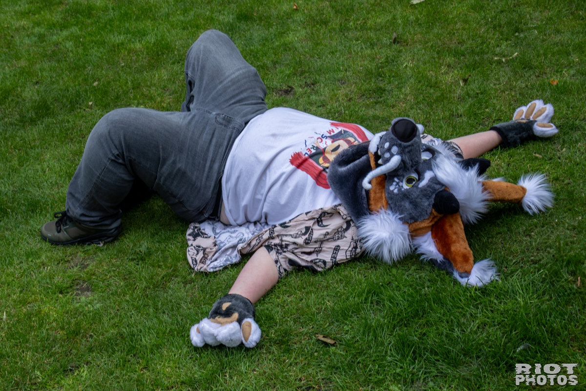 2025-08-09 MancFurs-202508-073.jpg
