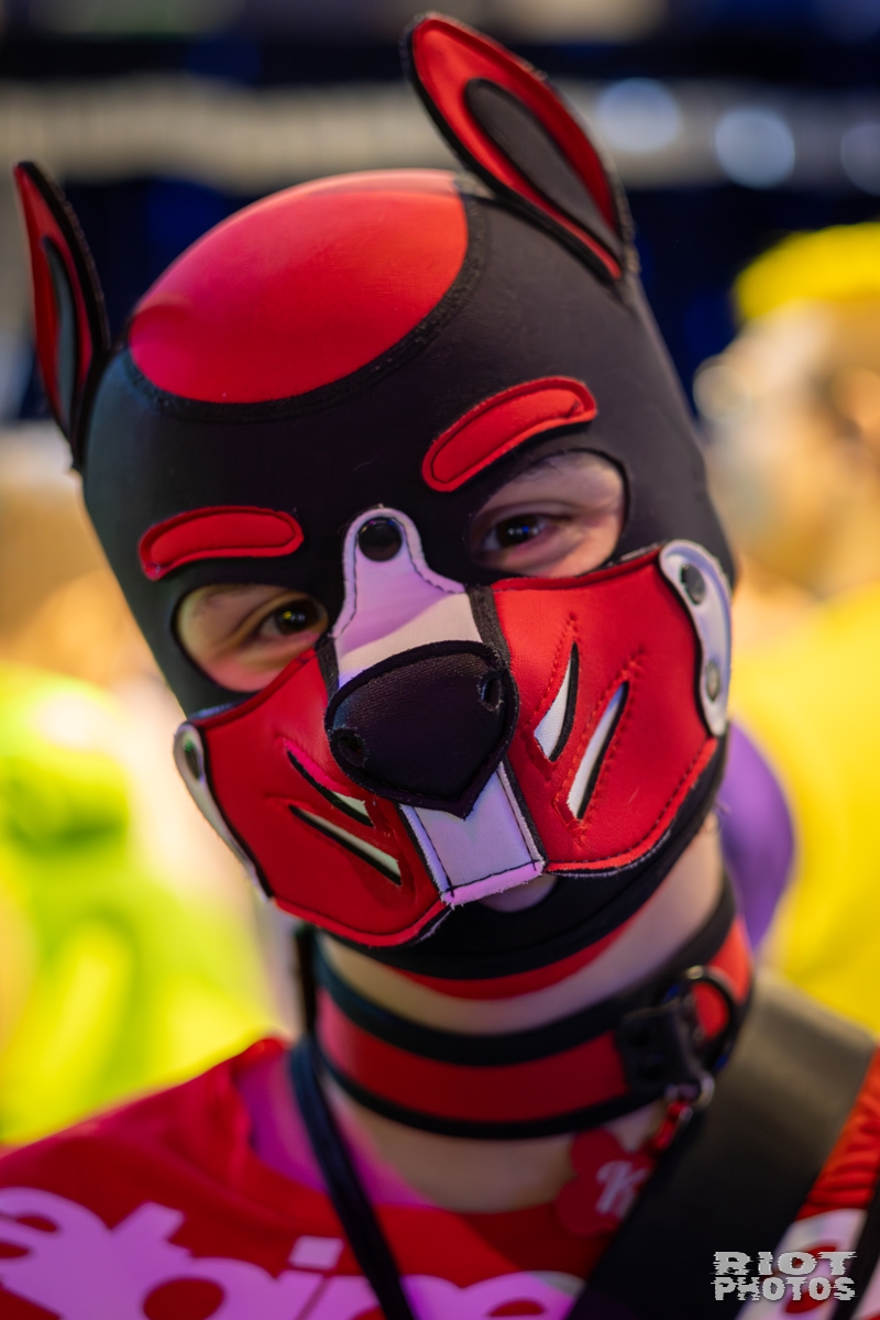 2025-09-13 MancFurs-202509-003.jpg