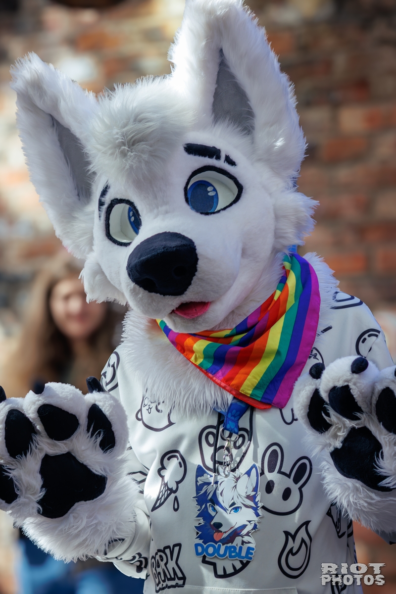2025-09-13 MancFurs-202509-006.jpg