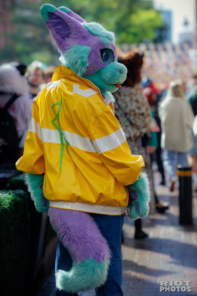 2025-09-13 MancFurs-202509-007.jpg