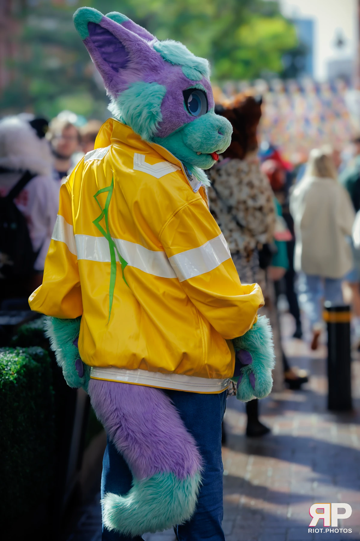 MancFurs - September, 2025 — 13 Sep 2025, Fluffy Riot photography — photo 7