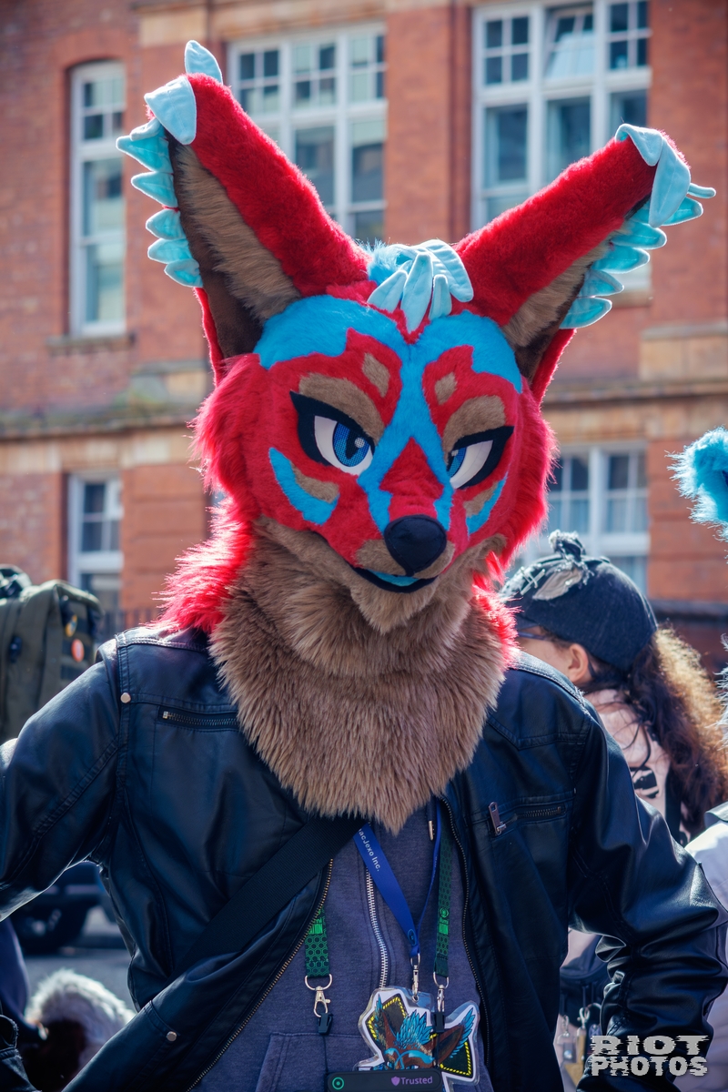 2025-09-13 MancFurs-202509-008.jpg