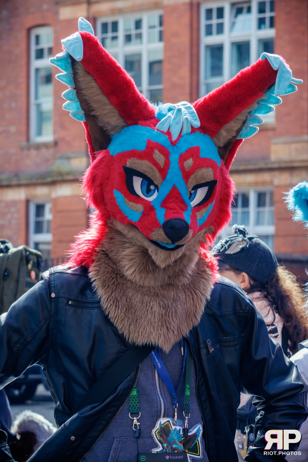 MancFurs - September, 2025 — 13 Sep 2025, Fluffy Riot photography — photo 8