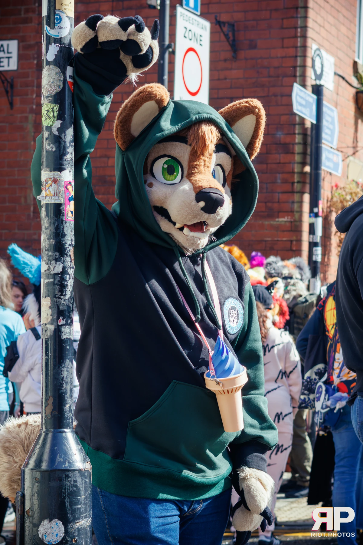 MancFurs - September, 2025 — 13 Sep 2025, Fluffy Riot photography — photo 12