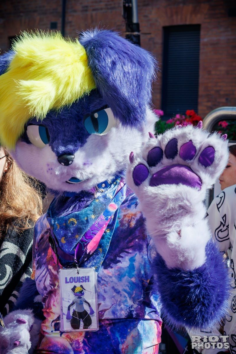 2025-09-13 MancFurs-202509-015.jpg