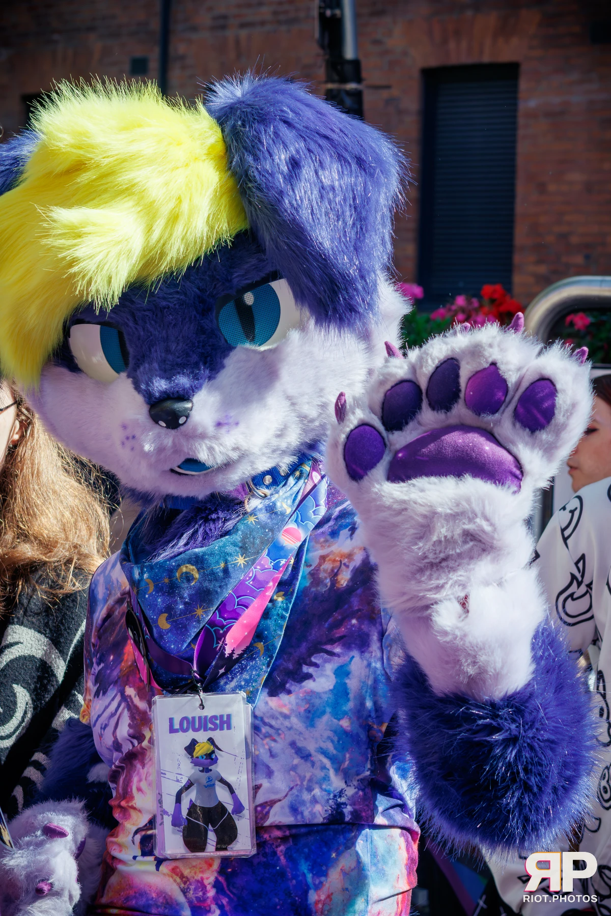 MancFurs - September, 2025 — 13 Sep 2025, Fluffy Riot photography — photo 15