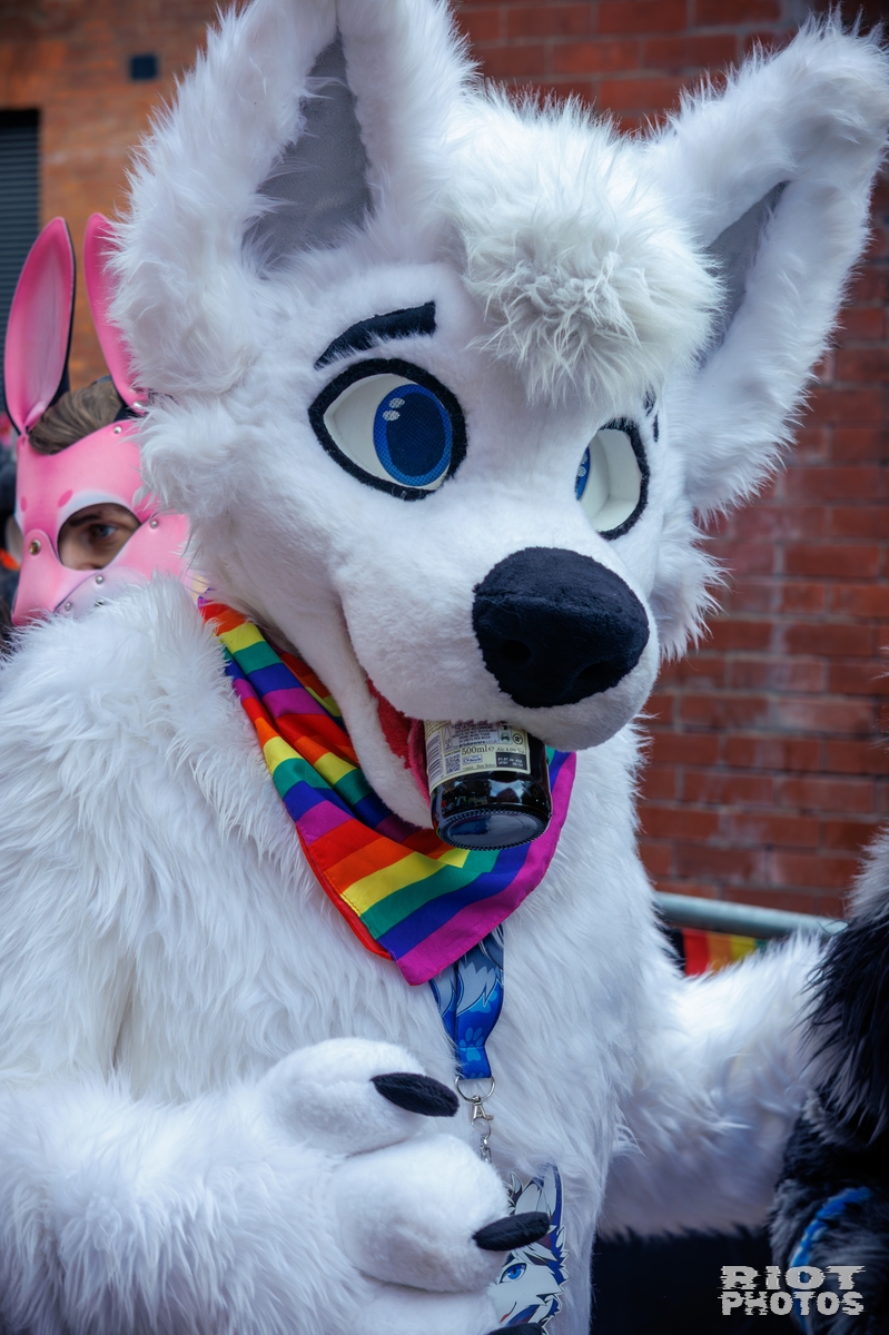 2025-09-13 MancFurs-202509-019.jpg