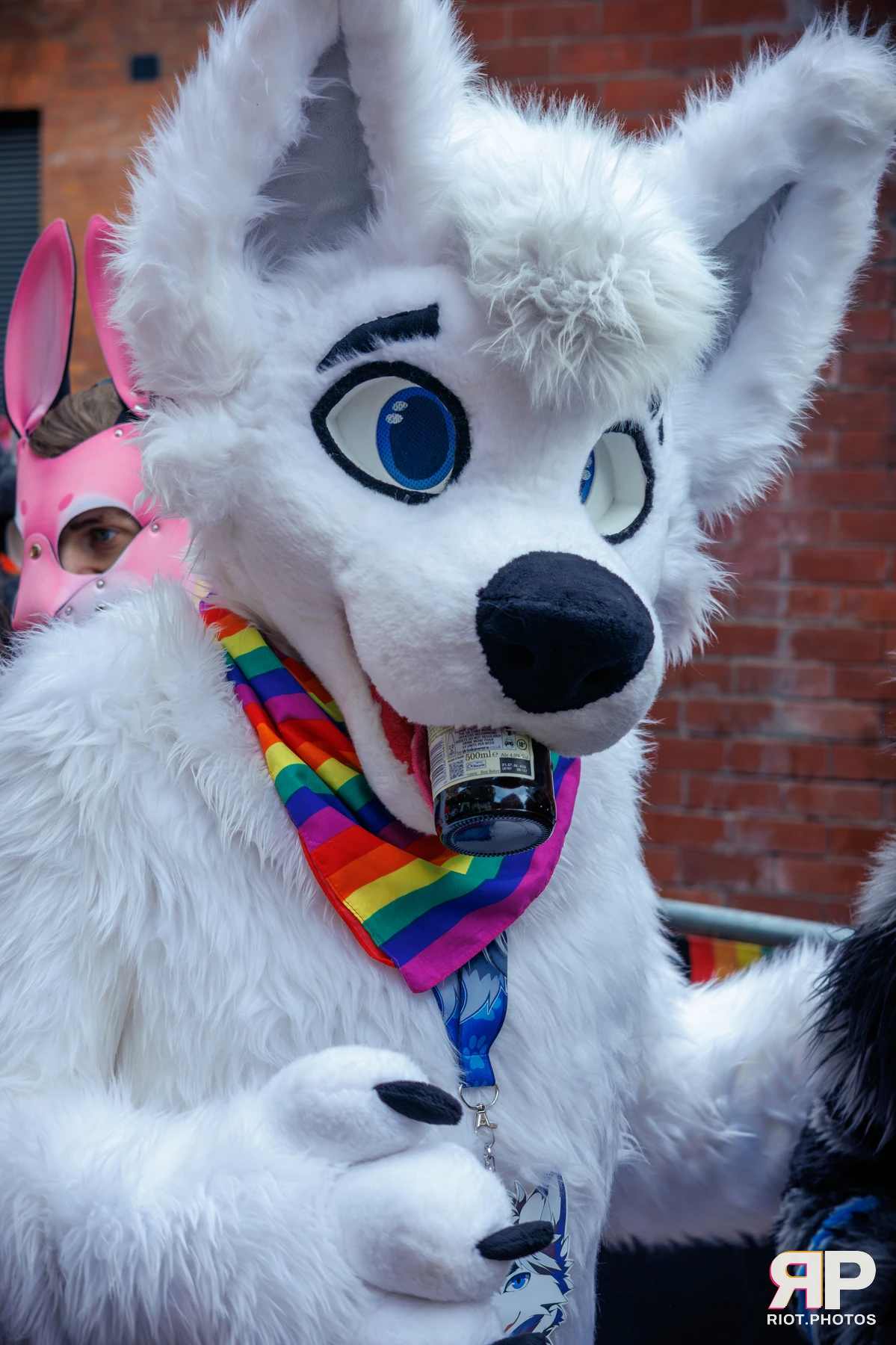 MancFurs - September, 2025 — 13 Sep 2025, Fluffy Riot photography — photo 19