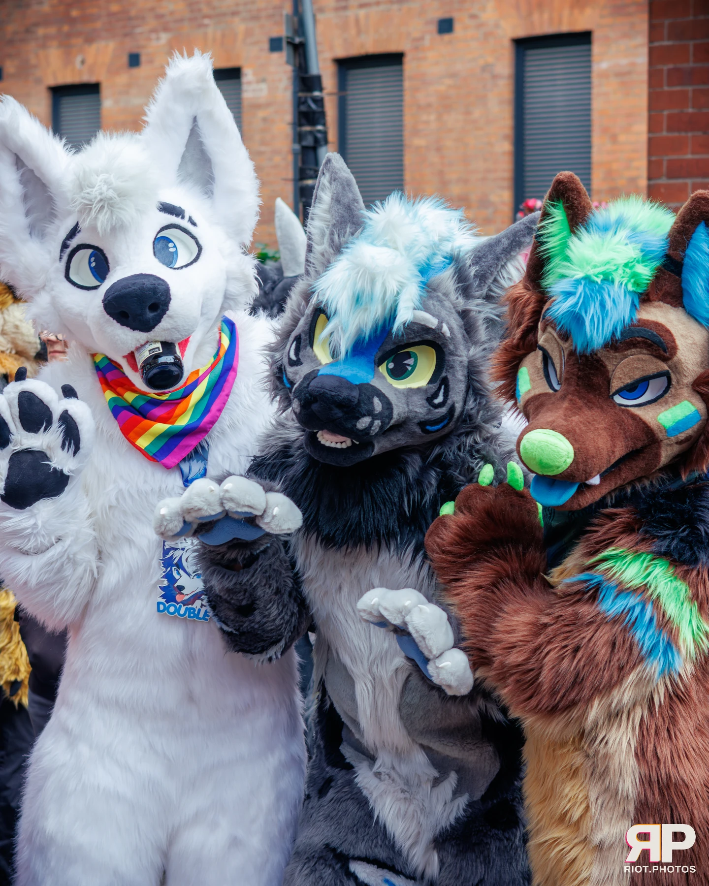 MancFurs - September, 2025 — 13 Sep 2025, Fluffy Riot photography — photo 20