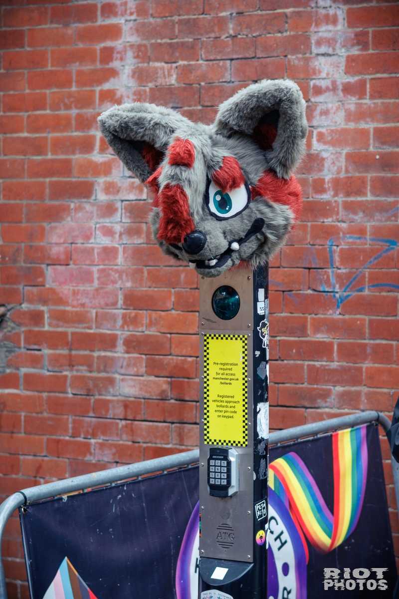 2025-09-13 MancFurs-202509-021.jpg