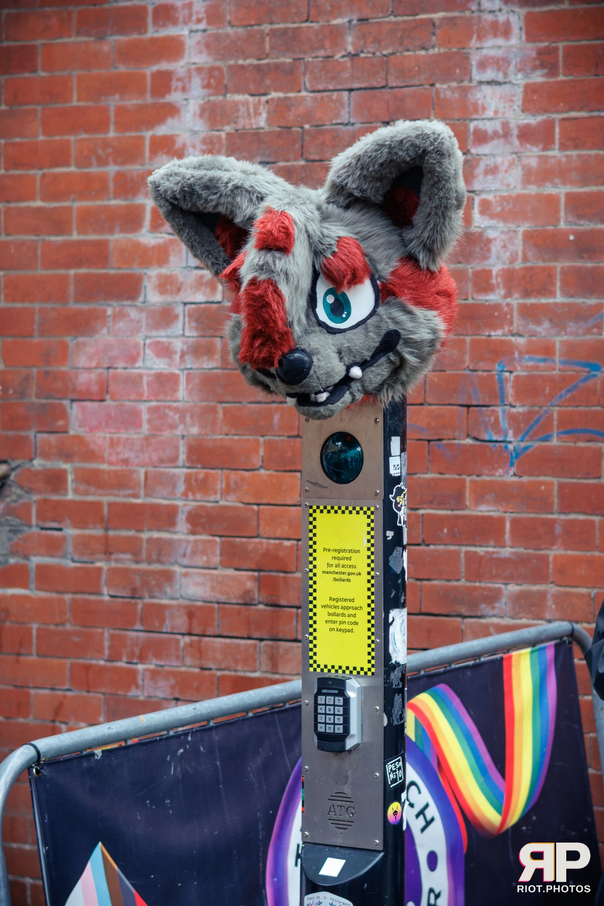 MancFurs - September, 2025 — 13 Sep 2025, Fluffy Riot photography — photo 21