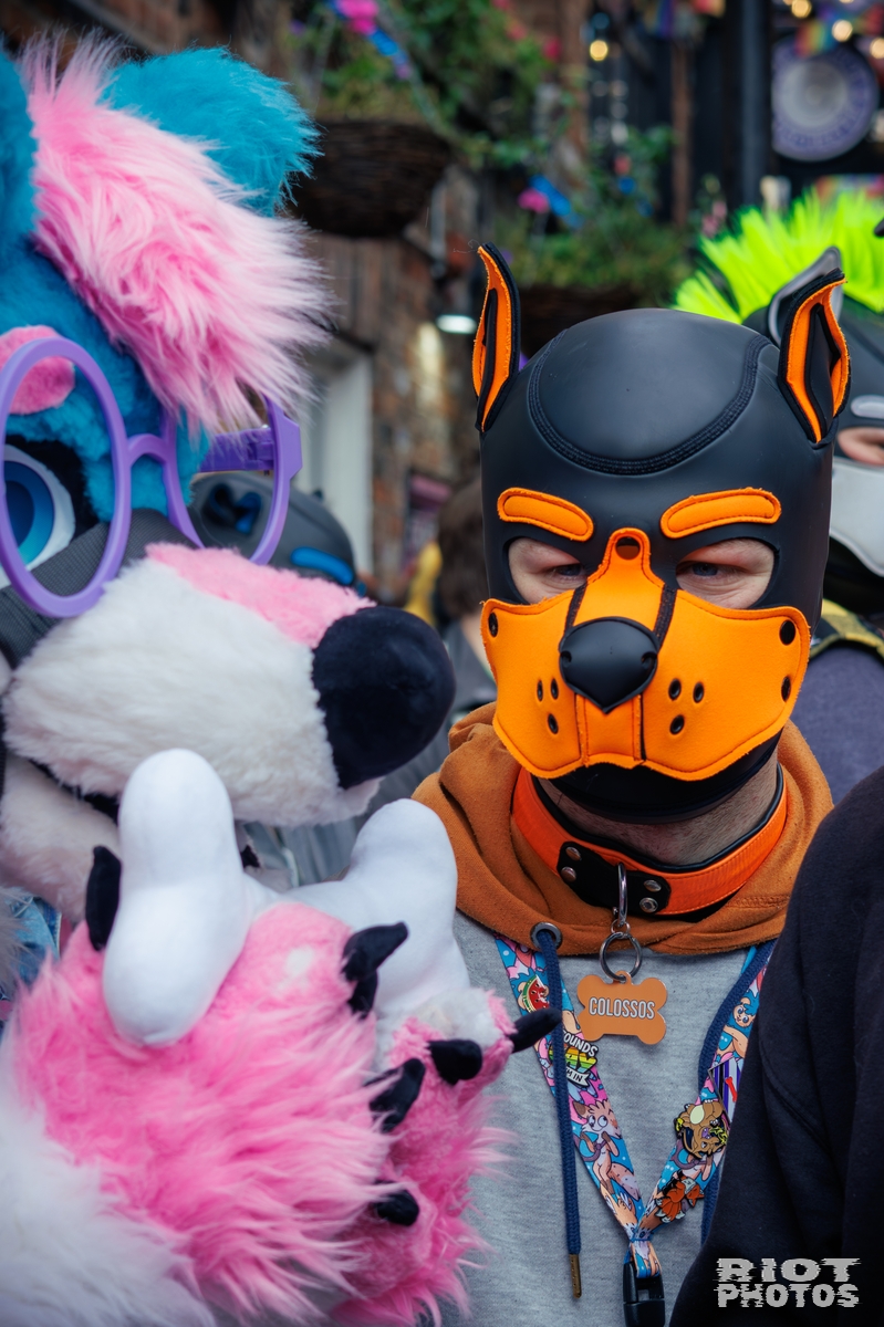 2025-09-13 MancFurs-202509-024.jpg