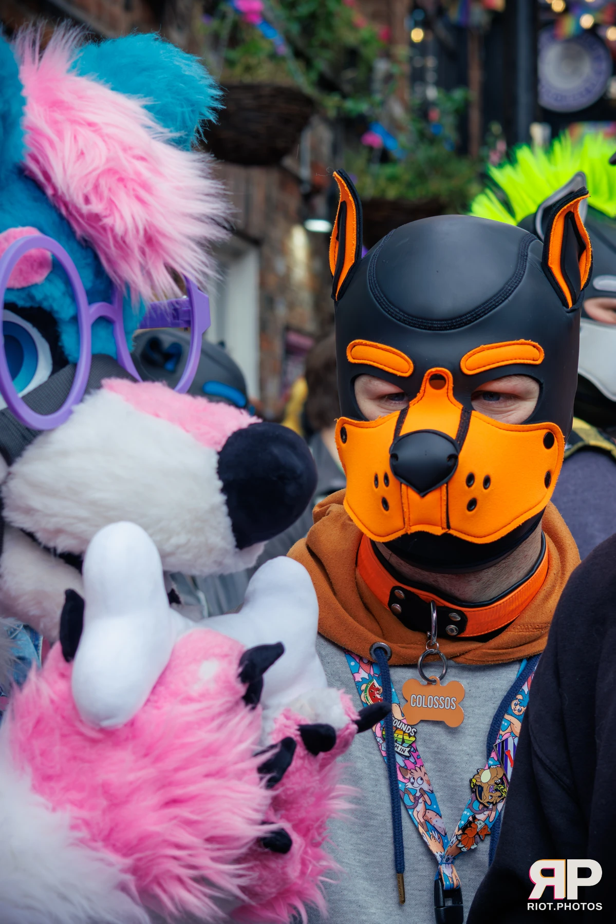 Pup Colossos — furry & pup photography by Fluffy Riot — photo 127