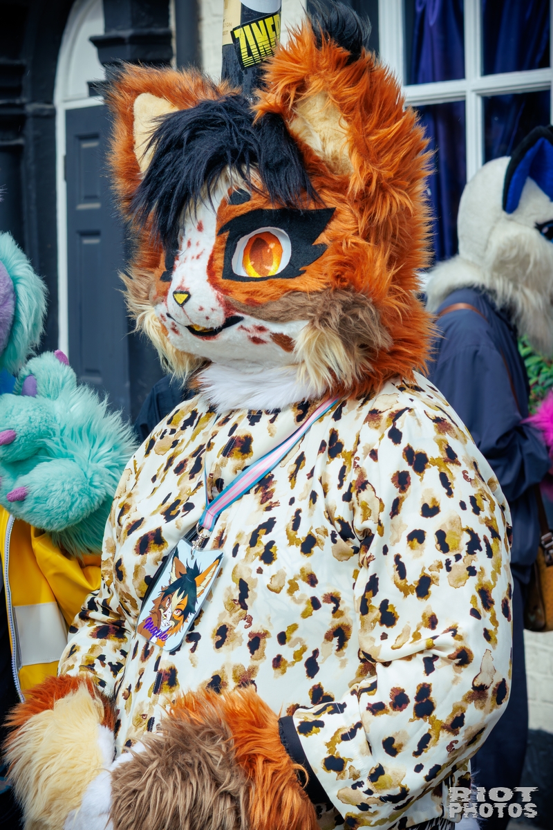 2025-09-13 MancFurs-202509-027.jpg