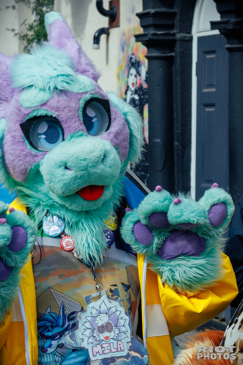 2025-09-13 MancFurs-202509-028.jpg