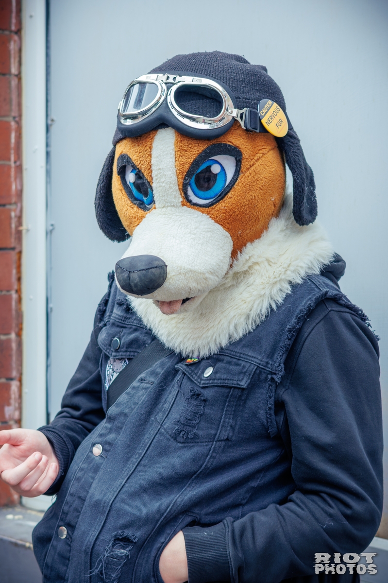 2025-09-13 MancFurs-202509-031.jpg