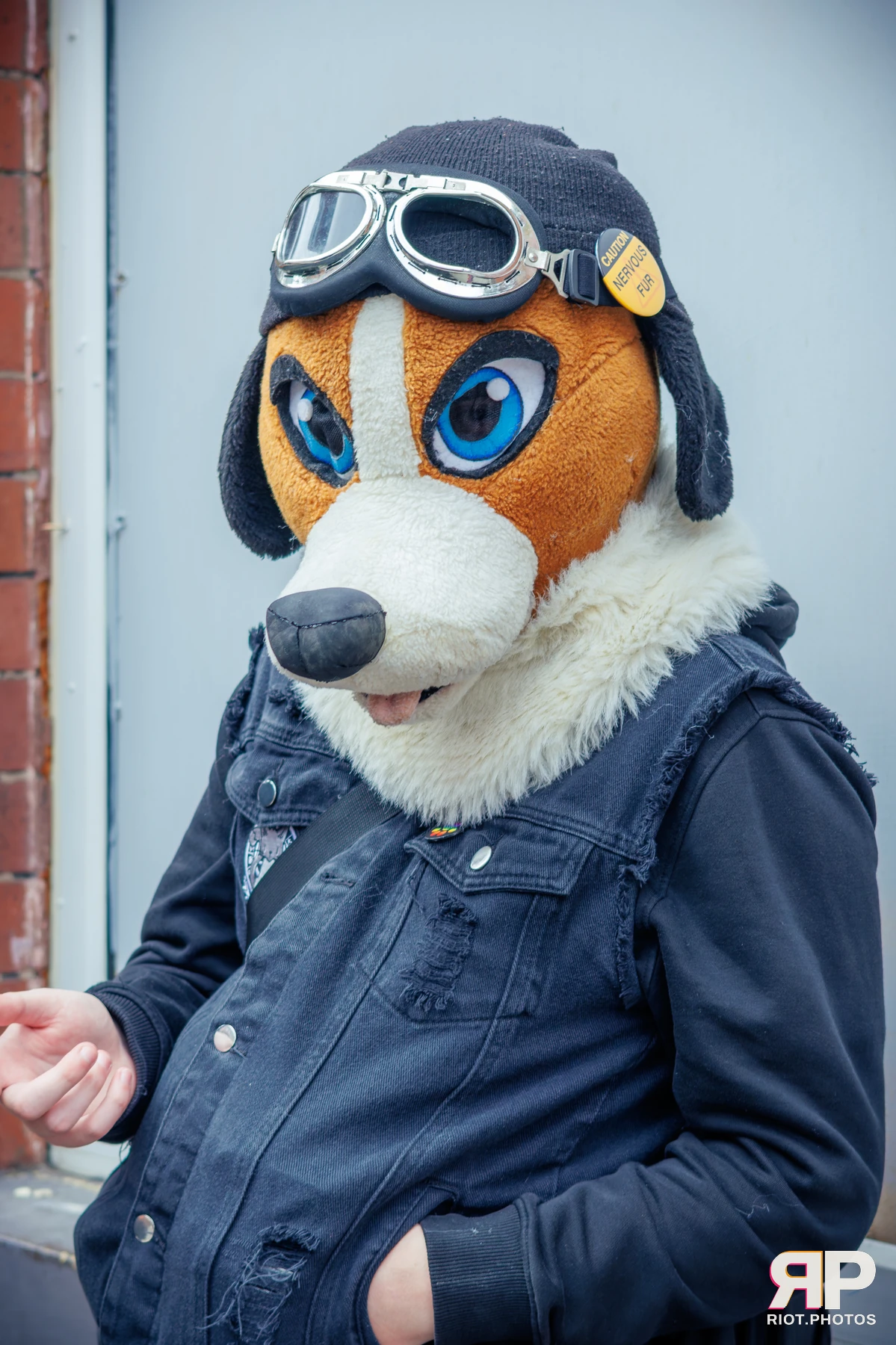 MancFurs - September, 2025 — 13 Sep 2025, Fluffy Riot photography — photo 31
