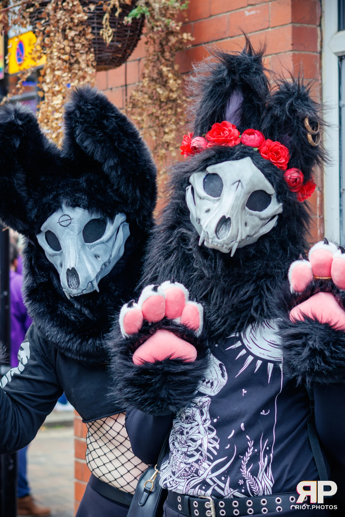 MancFurs - September, 2025 — 13 Sep 2025, Fluffy Riot photography — photo 32