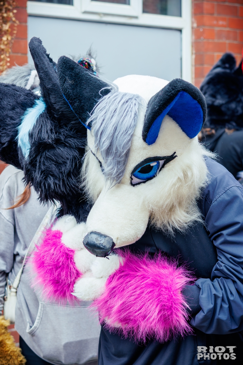 2025-09-13 MancFurs-202509-036.jpg