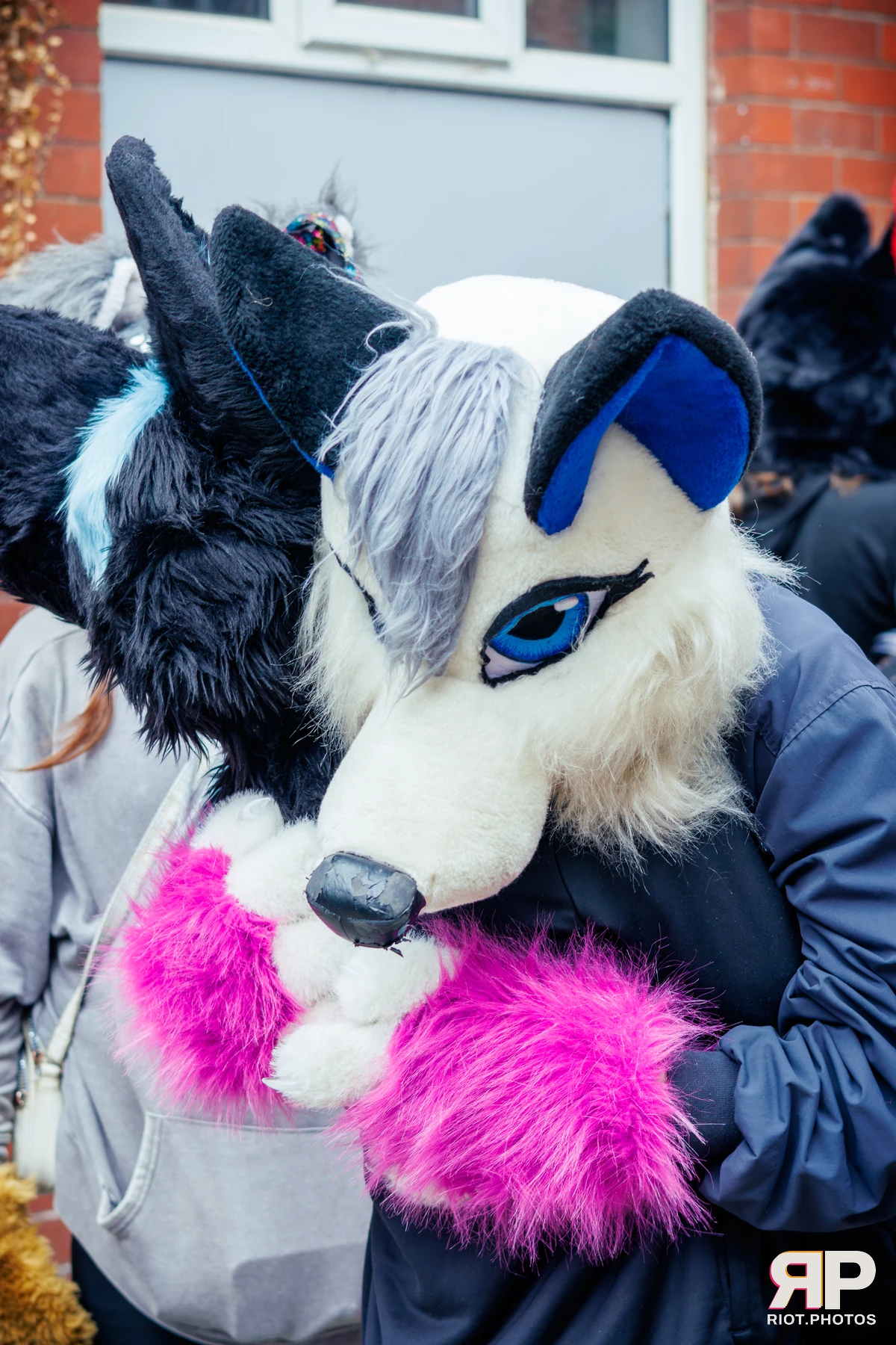 MancFurs - September, 2025 — 13 Sep 2025, Fluffy Riot photography — photo 36