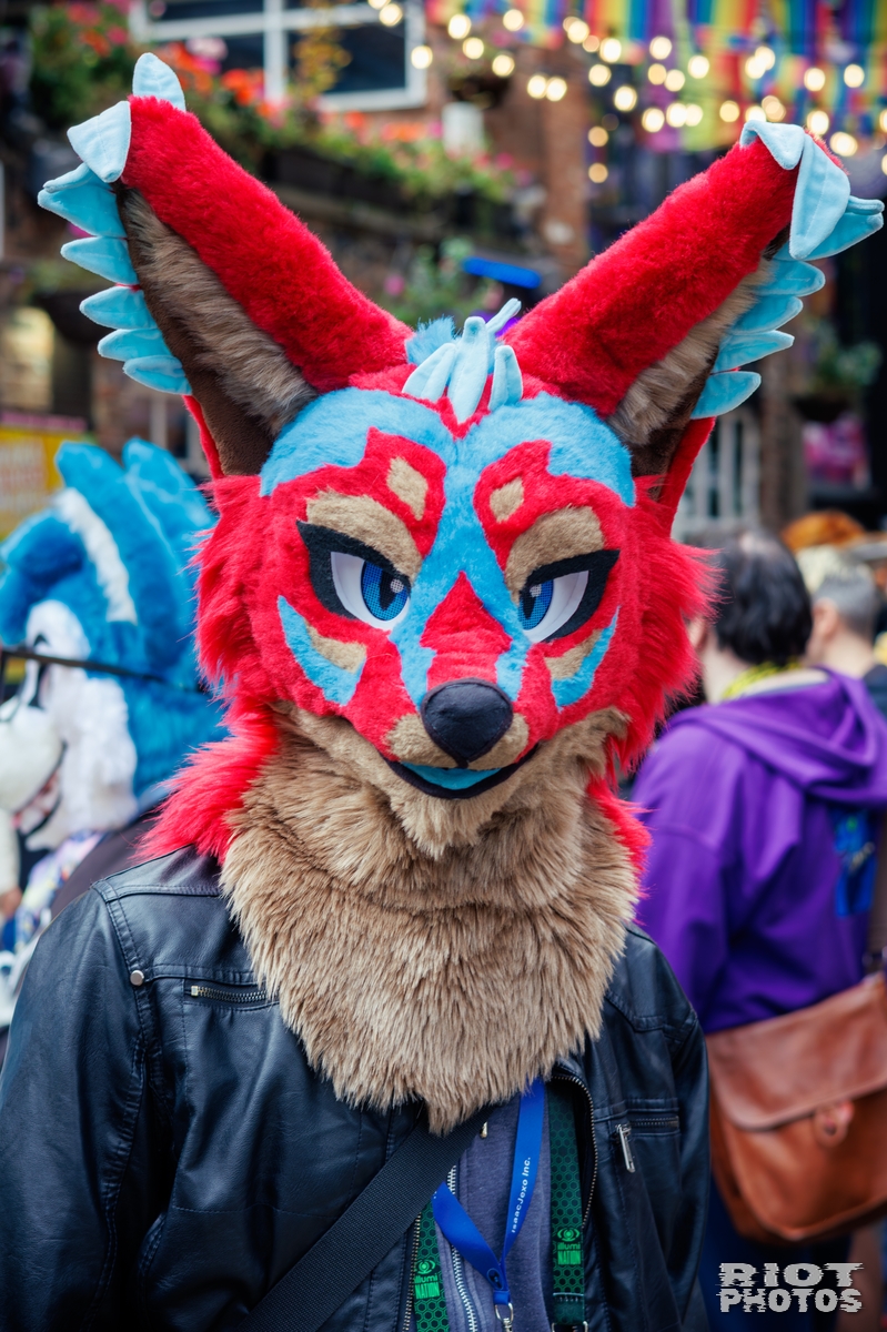 2025-09-13 MancFurs-202509-038.jpg