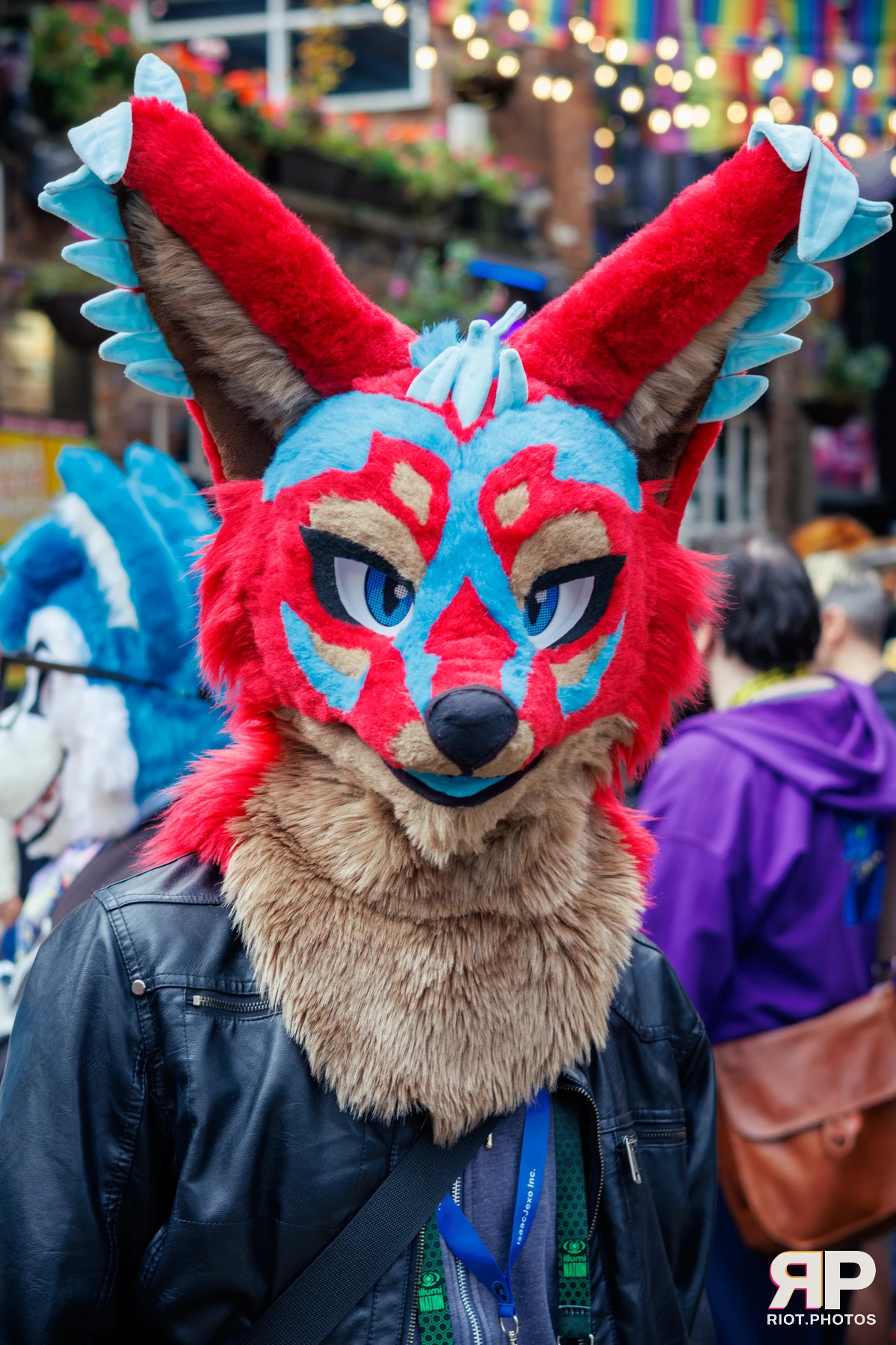 MancFurs - September, 2025 — 13 Sep 2025, Fluffy Riot photography — photo 38