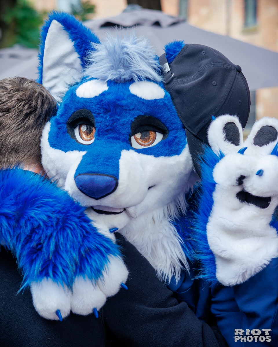 2025-09-13 MancFurs-202509-041.jpg