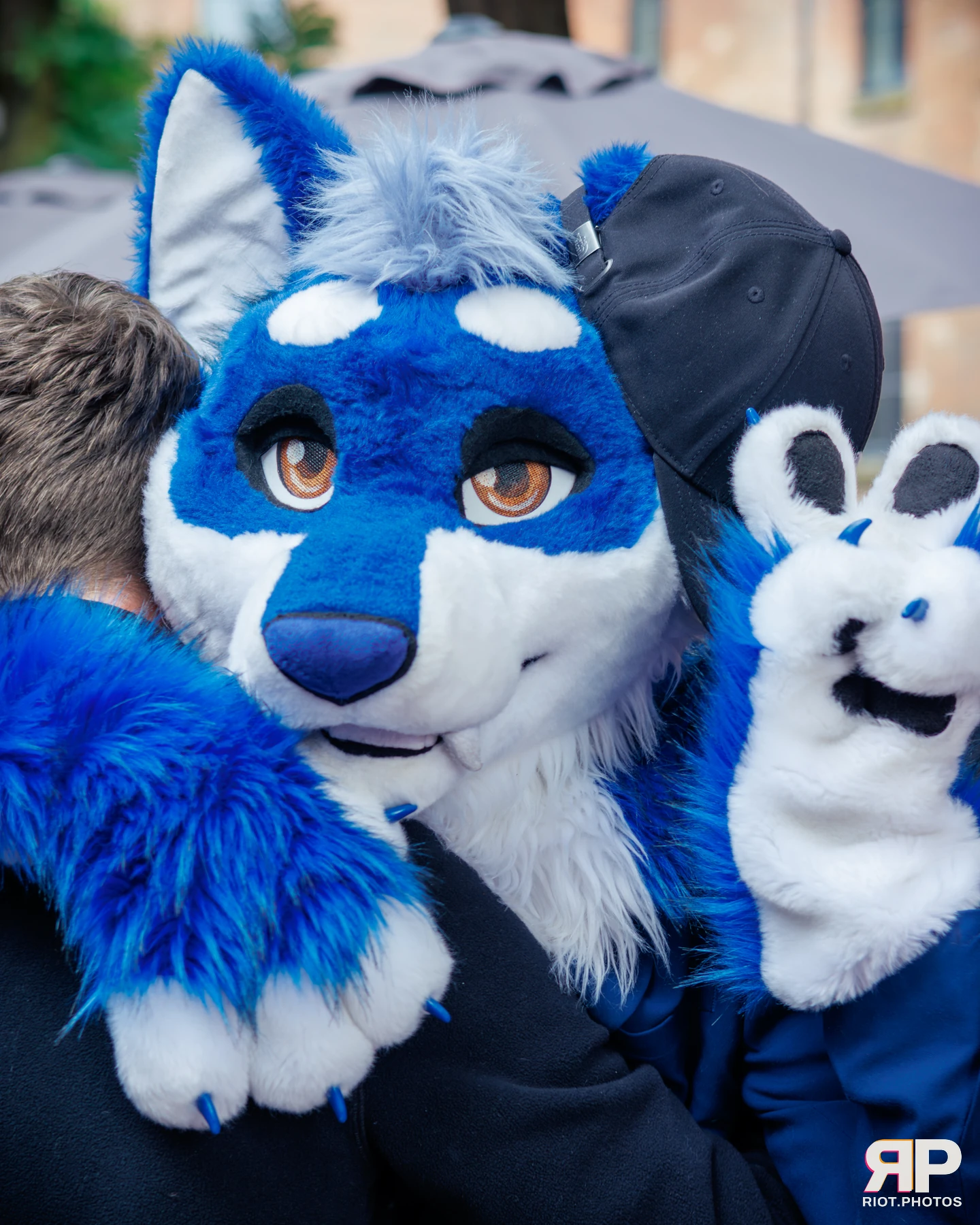 MancFurs - September, 2025 — 13 Sep 2025, Fluffy Riot photography — photo 41