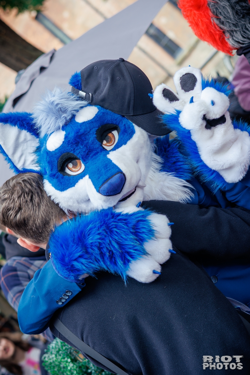 2025-09-13 MancFurs-202509-042.jpg