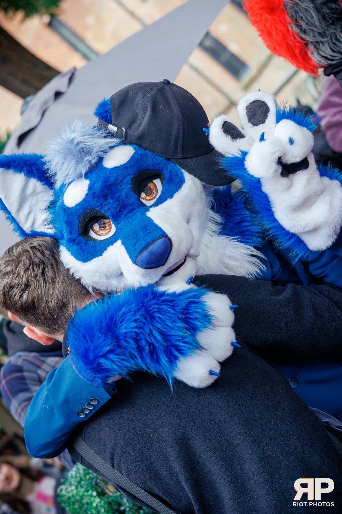 MancFurs - September, 2025 — 13 Sep 2025, Fluffy Riot photography — photo 42