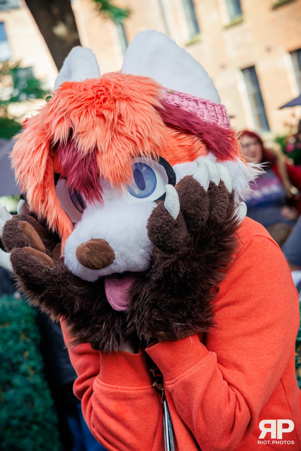 MancFurs - September, 2025 — 13 Sep 2025, Fluffy Riot photography — photo 47