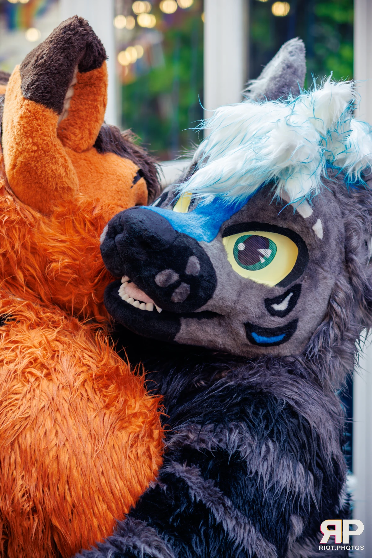 MancFurs - September, 2025 — 13 Sep 2025, Fluffy Riot photography — photo 48