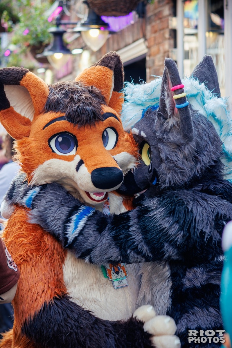 2025-09-13 MancFurs-202509-050.jpg