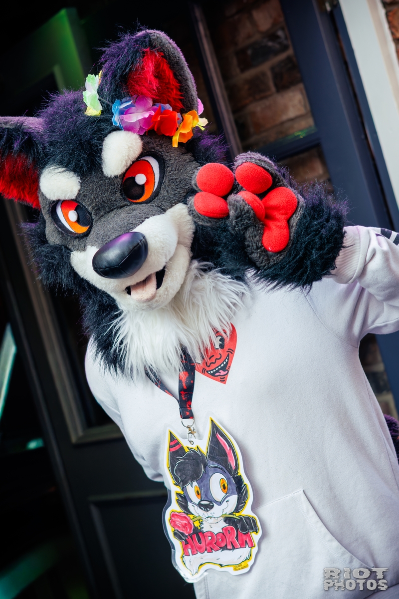 2025-09-13 MancFurs-202509-051.jpg